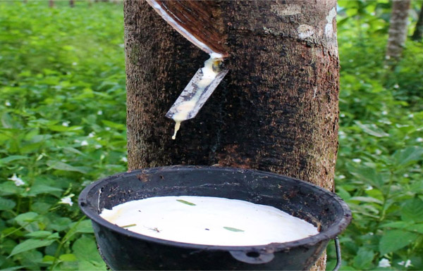 Natural Rubber Natural Rubber
